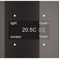 Сенсорная панель Room-E "Glass Black"