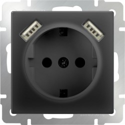 Розетка с заземлением шторками и USBх2 Werkel 16A/250В, винтовой зажим, черный матовый