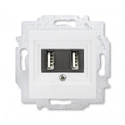ABB EPJ Levit USB зарядка двойная, цвет белый / белый 