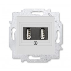  USB зарядка двойная, цвет Серый/Белый ABB Levit
