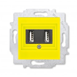  USB зарядка двойная, цвет Желтый/Дымчатый черный, Levit, ABB