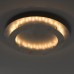 Потолочный светодиодный светильник De Markt Иланг 2 712011401