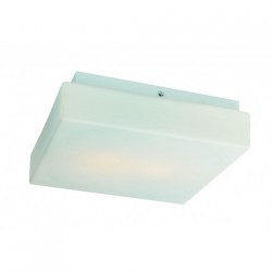 Потолочный светильник ST Luce Bagno SL503.502.02