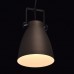 Подвесной светильник MW-Light Хоф 497011701