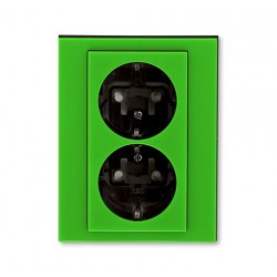 Розетка 2-ая электрическая с заземлением с защитными шторками, цвет Зеленый/Дымчатый черный, Levit, ABB