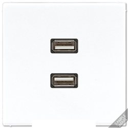 Розетка USB 2-ая (разъем), цвет Бежевый, LS990, Jung