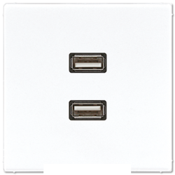 Розетка USB 2-ая (разъем), цвет Белый, LS990, Jung