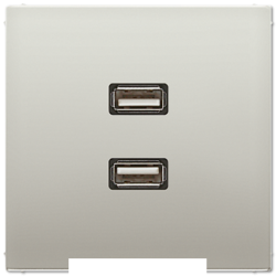 Розетка USB 2-ая (разъем), цвет Edelstahl (сталь), LS990, Jung