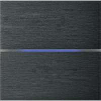 Basalte 201-02 Sentido лицевая панель 2 - клавишная - brushed dark grey